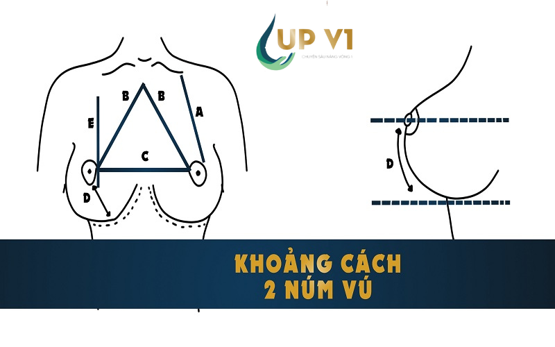 khoảng cách núm vú của phụ nữ