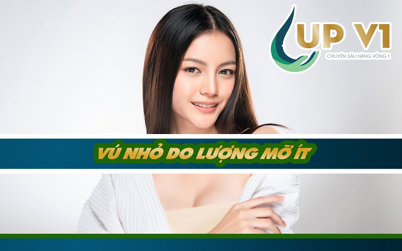 Thiếu mỡ vùng ngực dẫn đến tình trạng ngực nhỏ