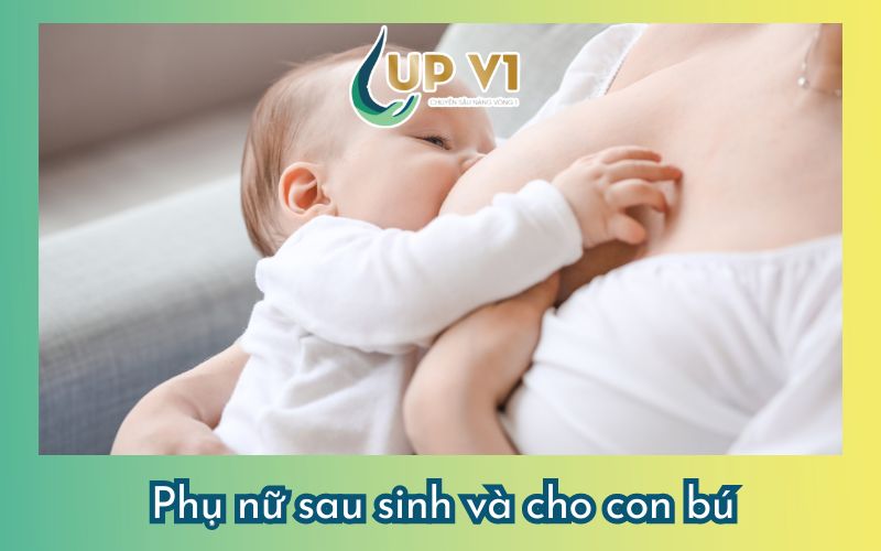 áo ngực bản to cho phụ nữ sau sinh