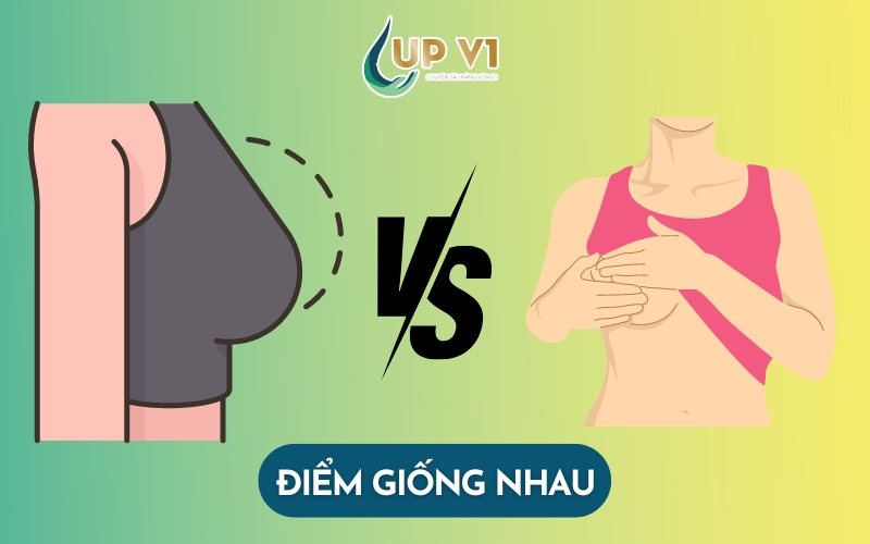 ngực phì đại và ngực sa trễ